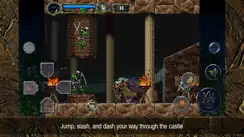 Castlevania: SotN iPhone image 2