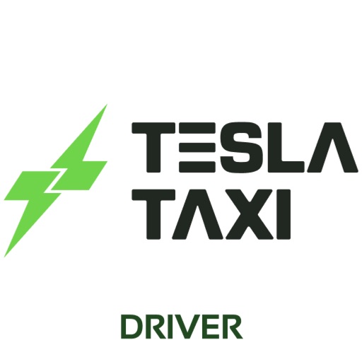 TeslaTaxiDriver