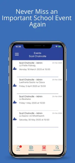Game screenshot Scoil Cholmcille hack
