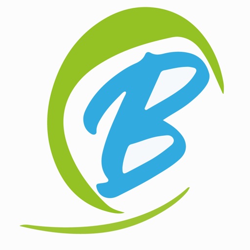 Bling Logistics Network