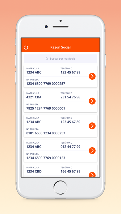 Andamur Gestores Screenshot