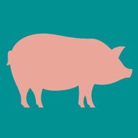 Pig Weight Estimator