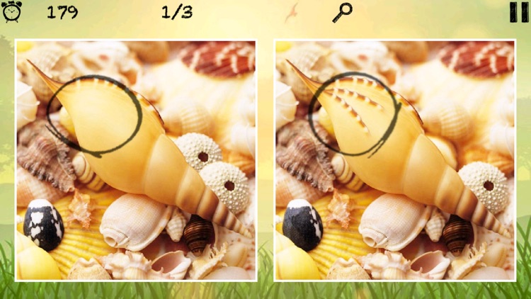 1000 Photos Difference Game