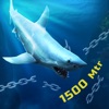 Shark Dive ! icon