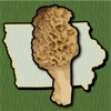 Iowa Mushroom Forager Map!