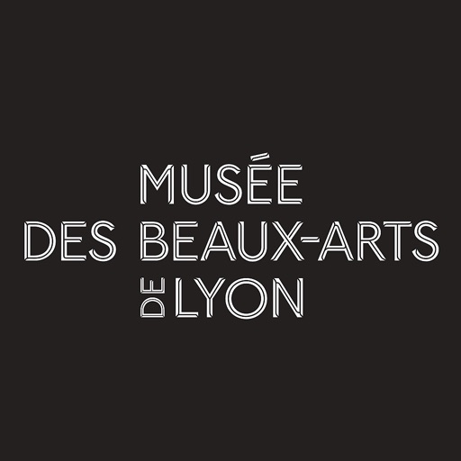 MBA, Musée des Beaux-Arts Lyon icon
