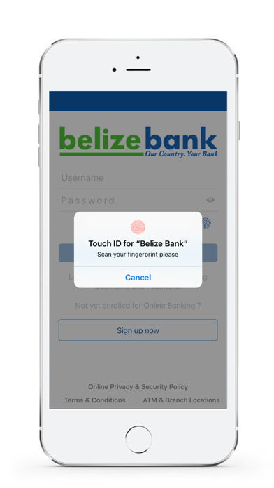 Screenshot #2 pour Belize Bank Mobile Banking