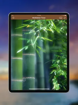 Game screenshot Meditation Timer for iPad mod apk
