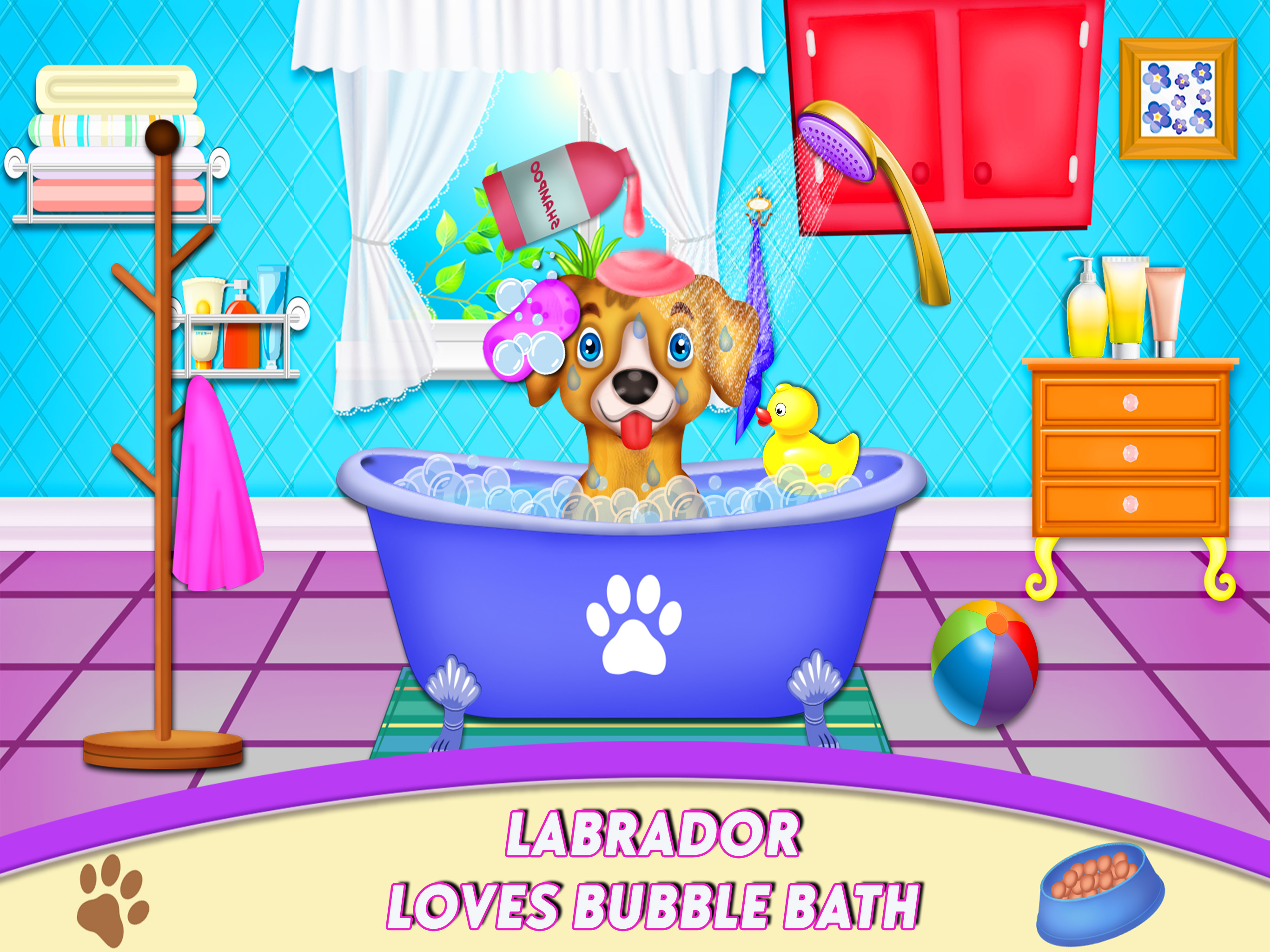 Labrador Pet Daycare