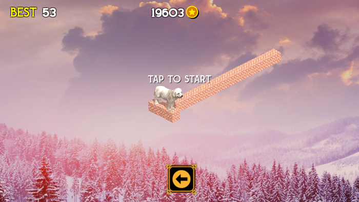 运行和移动您的动物宠物