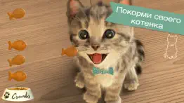 Маленький Котенок: Моя Кошечка айфон картинки 4