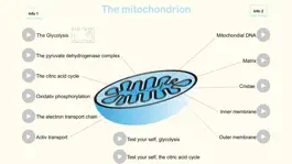 Game screenshot Metabolism mod apk