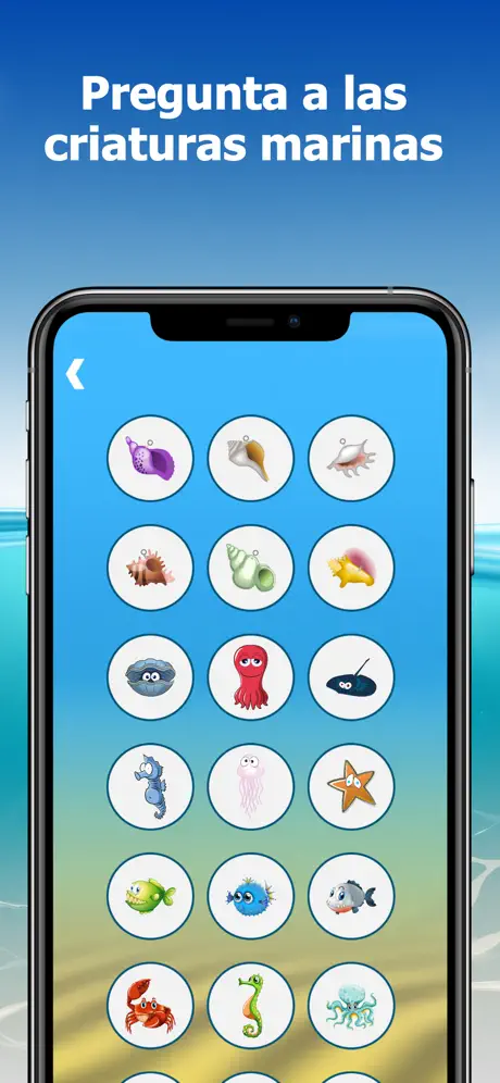 The Conch Shell: Magic answers