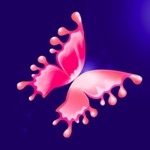 Live Screen dynamic wallpaper