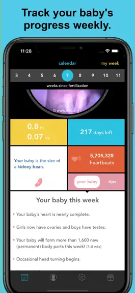 Game screenshot MyBaby Pregnancy Guide hack