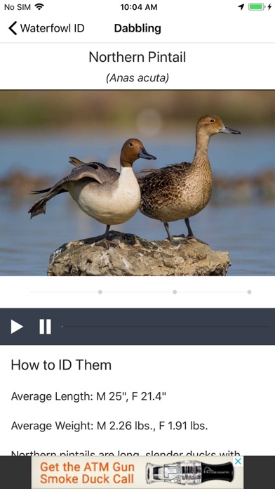 Ducks Unlimited Screenshot