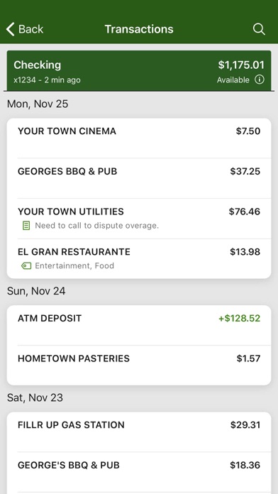First National Bank of Dryden Screenshot