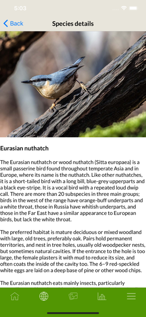 Etnobird Smart Bird Feeder(圖4)-速報App