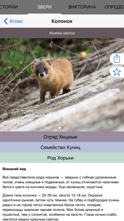 Экогид - Звери