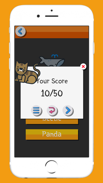 English Vocabulary Flashcard Screenshot