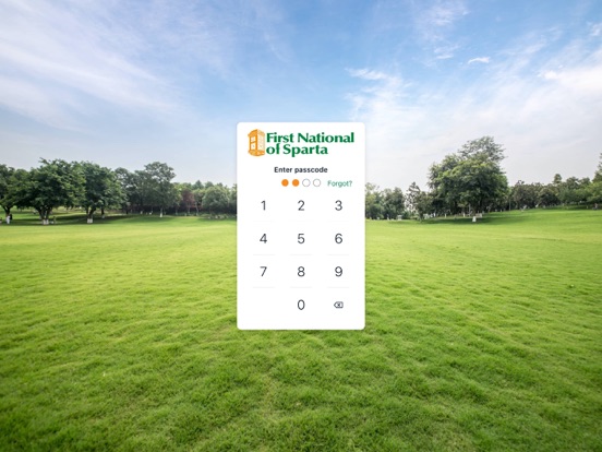 FNB Sparta iPad screenshot 2 - Finance app