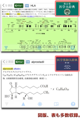 南山堂医学大辞典 第19版・医学英和大辞典 第12版のおすすめ画像4