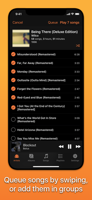 Picky Music Player Screenshot