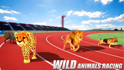 Crazy Wild Animal Racing Game Screenshot