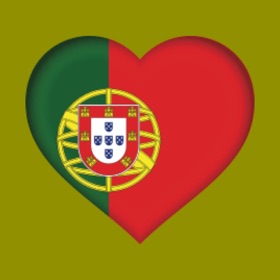 螢幕擷取畫面 (5) Quick Portuguese Dictionary