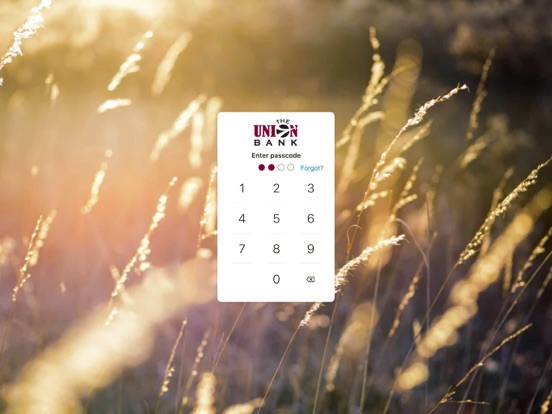 The Union Bank Mobile iPad screenshot 2 - Finance app