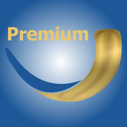 Mishkan Premium Читы