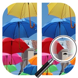 Find The Differences-PLight