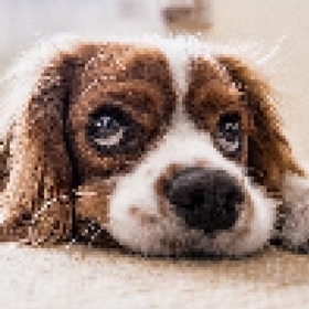 螢幕擷取畫面 (3) Pixel Pic - Quiz Word Game