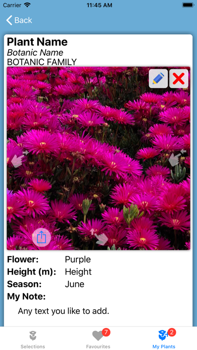 Flower Field Screenshot