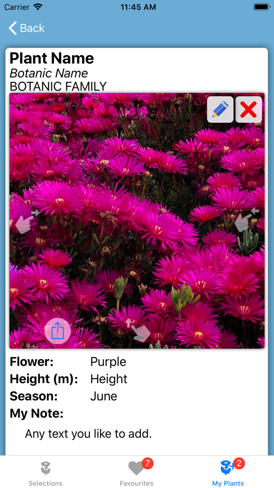 #9. Flower Field (iOS) By: Per Leif Dogger