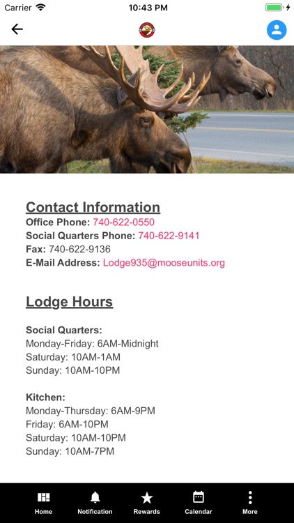 Moose Lodge #935 screenshot-3