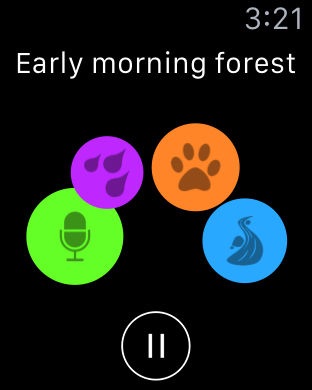 Apple Watch screenshot