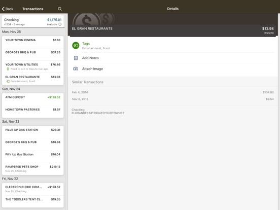 CSB Lankin iPad screenshot 3 - Finance app