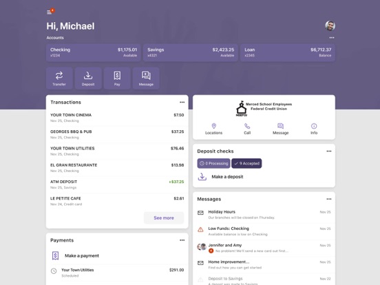 MSEFCU Mobile iPad screenshot 1 - Finance app