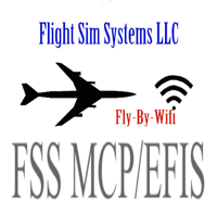 FSS MCP-EFIS