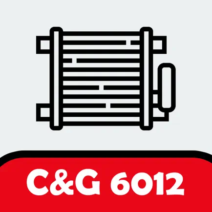 C&G Domestic Natural Gas Exam Читы