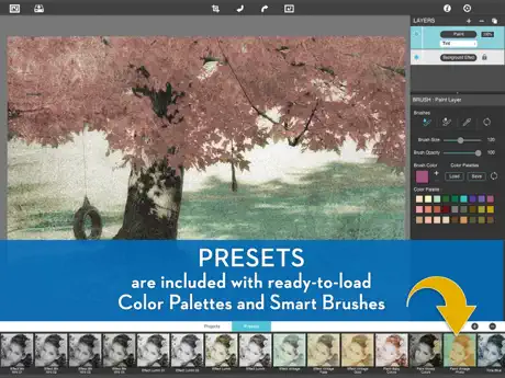 Hand Tint Pro