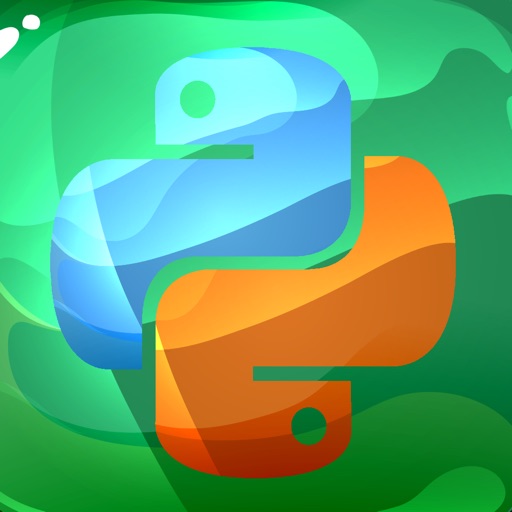 Pythonchik icon