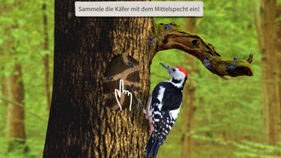 Screenshot #2 pour Villewälder