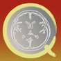 CT PassQuiz Head/Brain / MRI app download