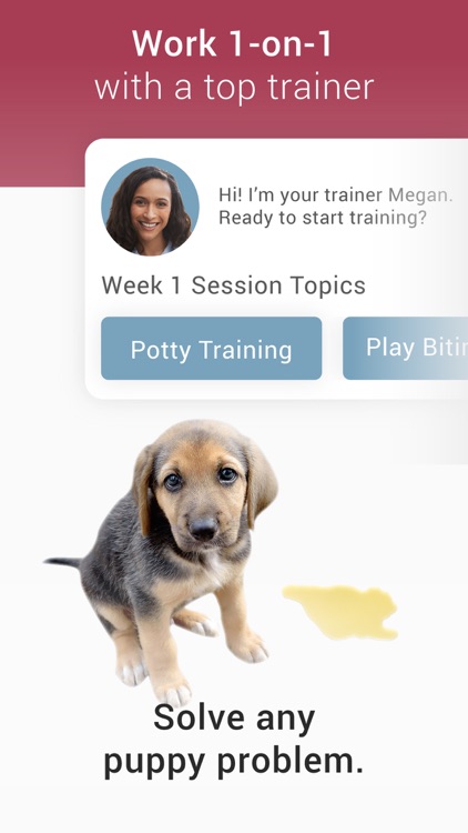 GoodPup: Dog Training at Home