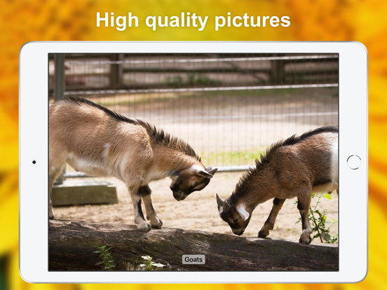 Sound Touch for Toddlers iPad screenshot 5 - Education app