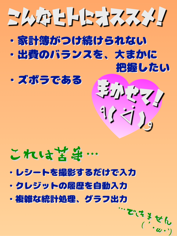 おおまか計簿 iPad screenshot