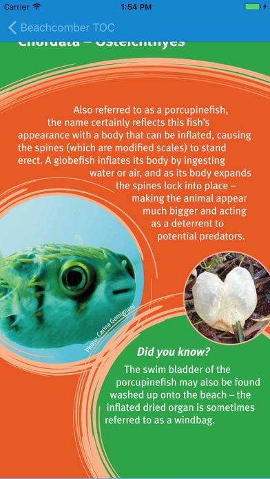 Screenshot #3 pour Beachcomber