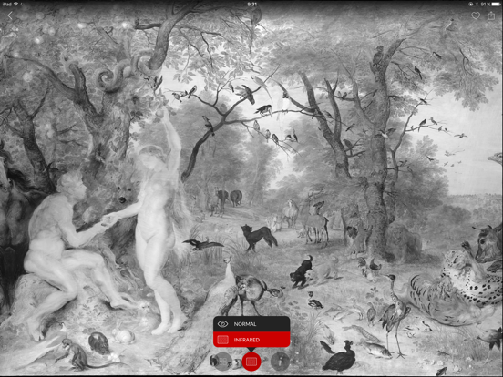 Screenshot #5 for Second Canvas Mauritshuis